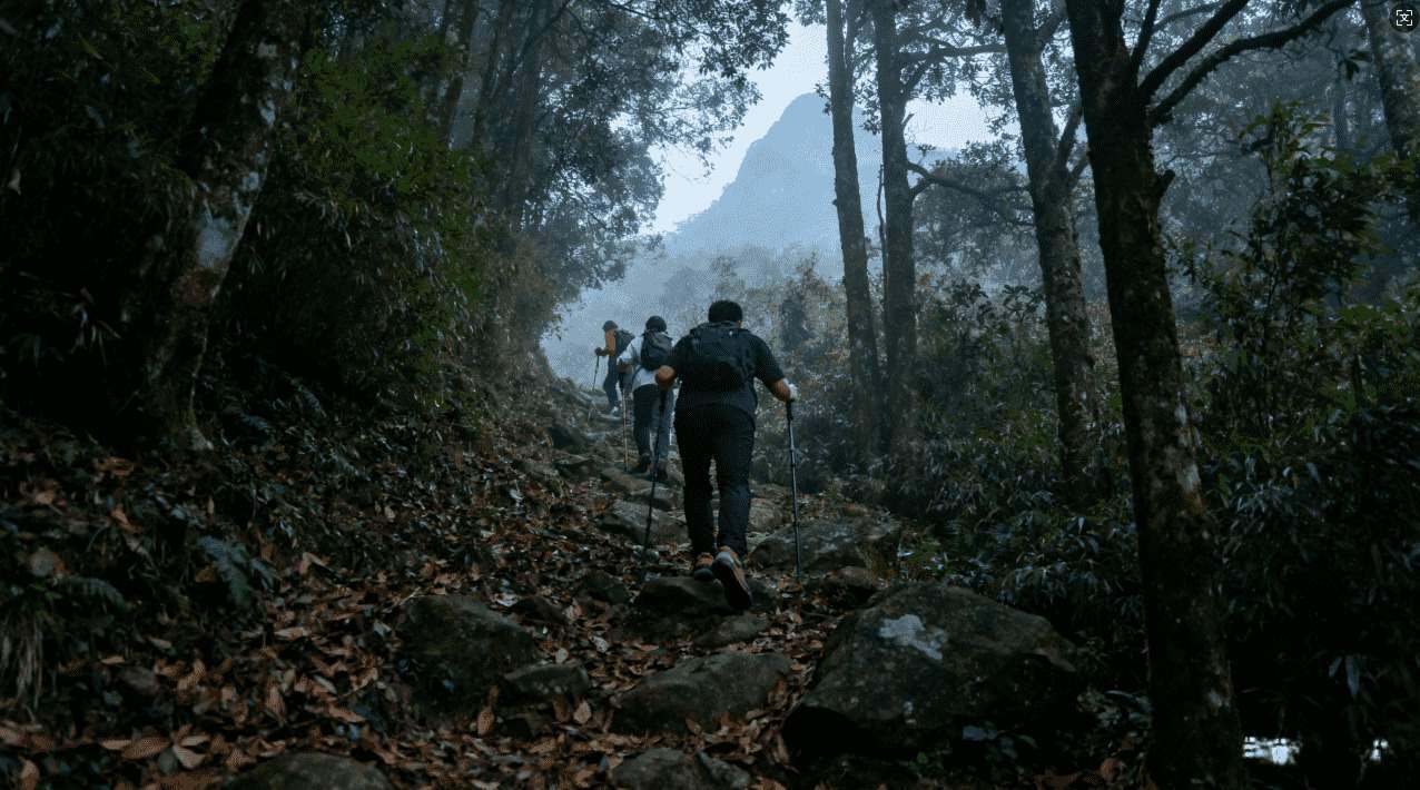 选择雷神加速器还是雷霆加速器的最佳指南